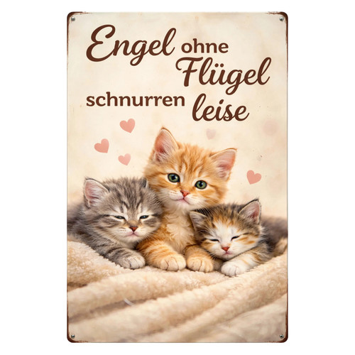 Katzen blechschild engel ohne - katzen,