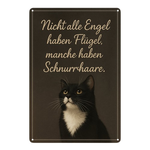 Katzen engel schnurrhaare - katzen,