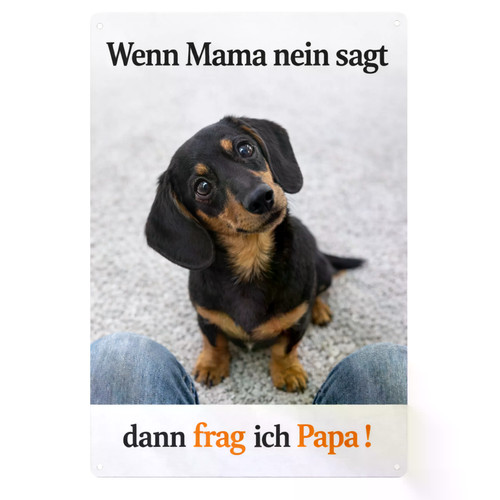 Dackel hund und mama - und,